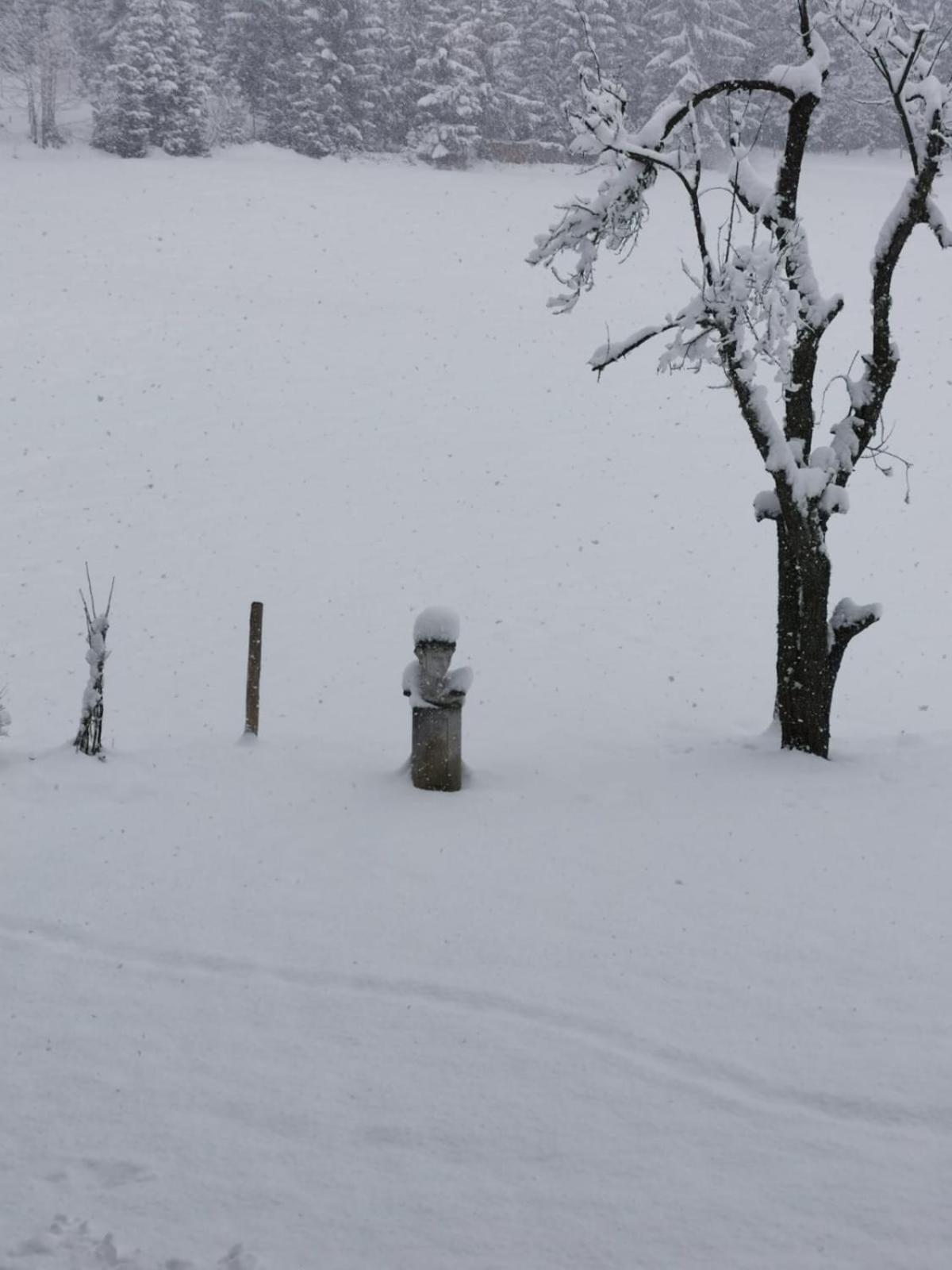 Boutique Hotel Alpenhof Sankt Martin am Tennengebirge Kültér fotó