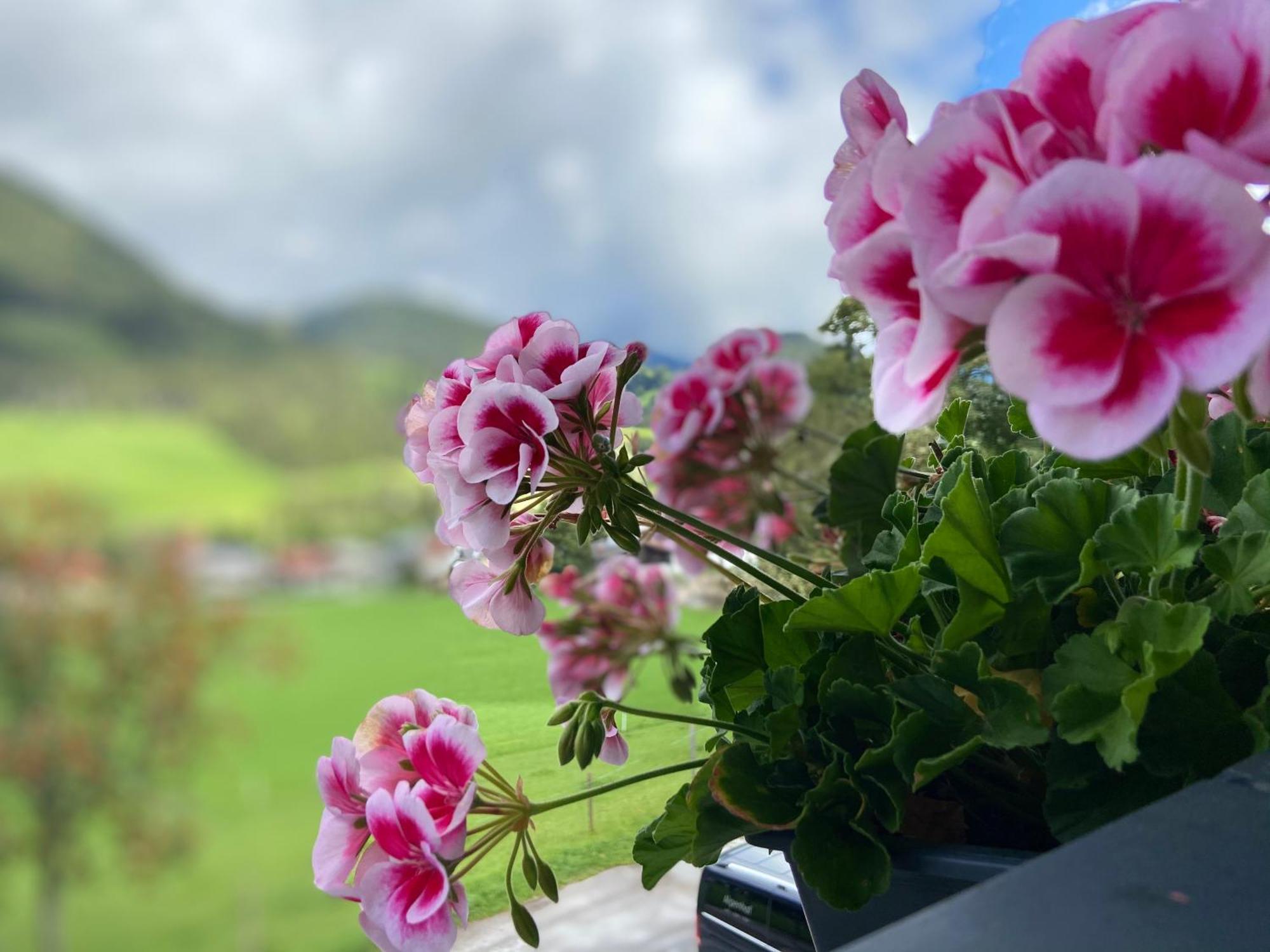 Boutique Hotel Alpenhof Sankt Martin am Tennengebirge Kültér fotó