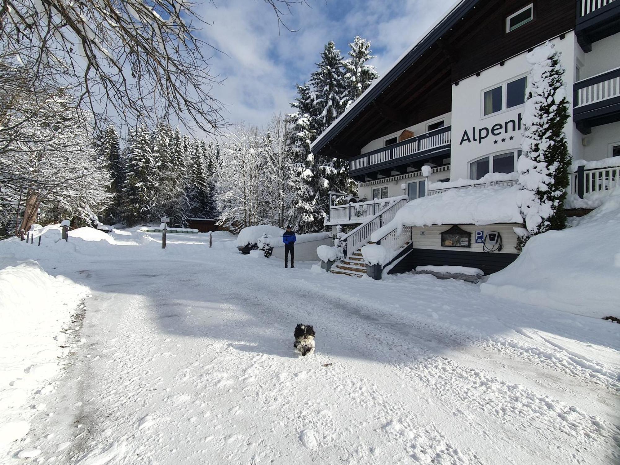 Boutique Hotel Alpenhof Sankt Martin am Tennengebirge Kültér fotó