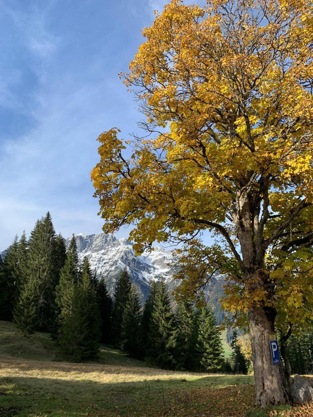 Boutique Hotel Alpenhof Sankt Martin am Tennengebirge Kültér fotó